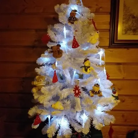 Tatil Evi 13 Komnata *