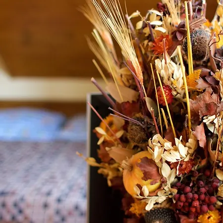 13 Komnata בית נופש טרצ'ובה