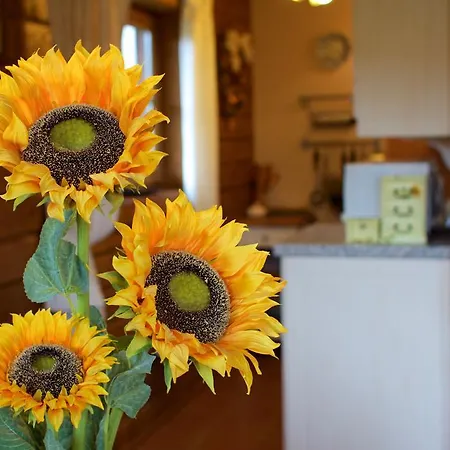 בית נופש 13 Komnata *